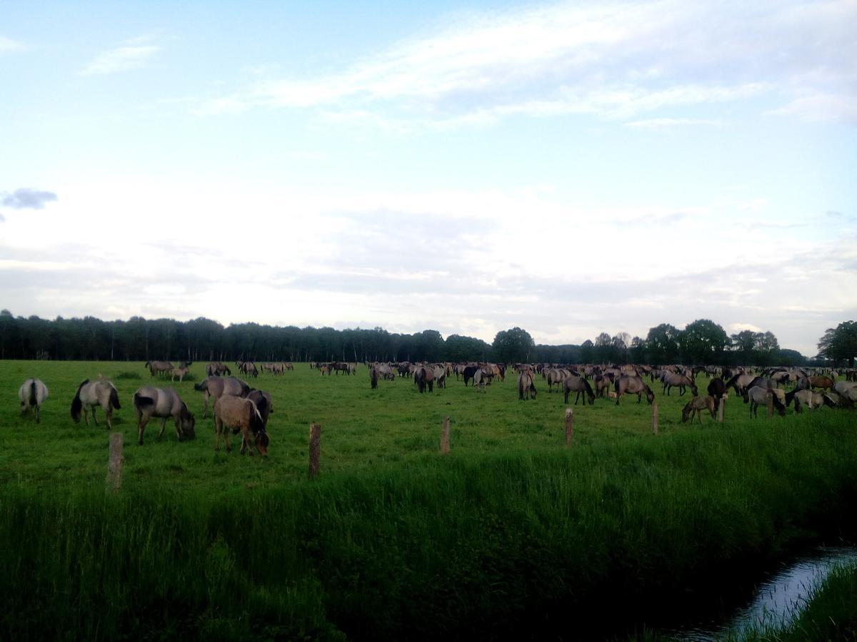 Hotel Restaurant Luetkebohmert Reken ภายนอก รูปภาพ